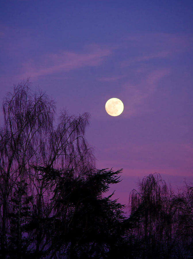 Full Moon Bliss Photograph by Brandi Johnson - Fine Art America