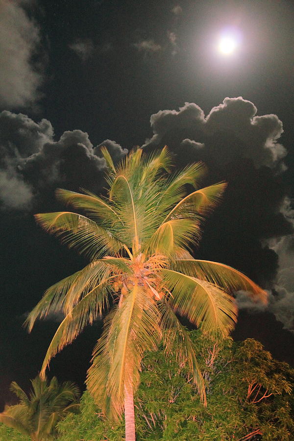 Full Moon in the Caribbean Photograph by Roupen Baker