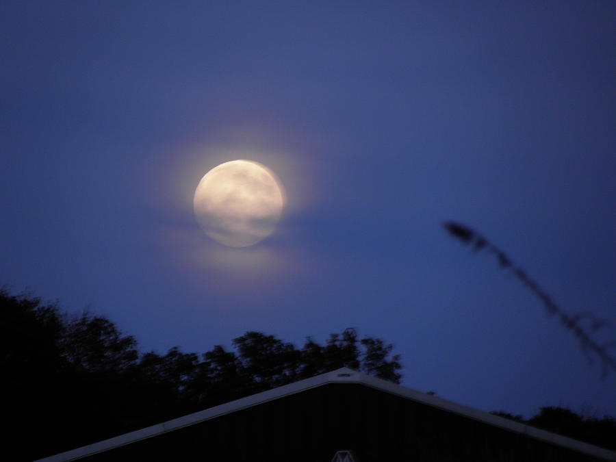 Full Moon October 11 2011 Photograph by Kim Galluzzo