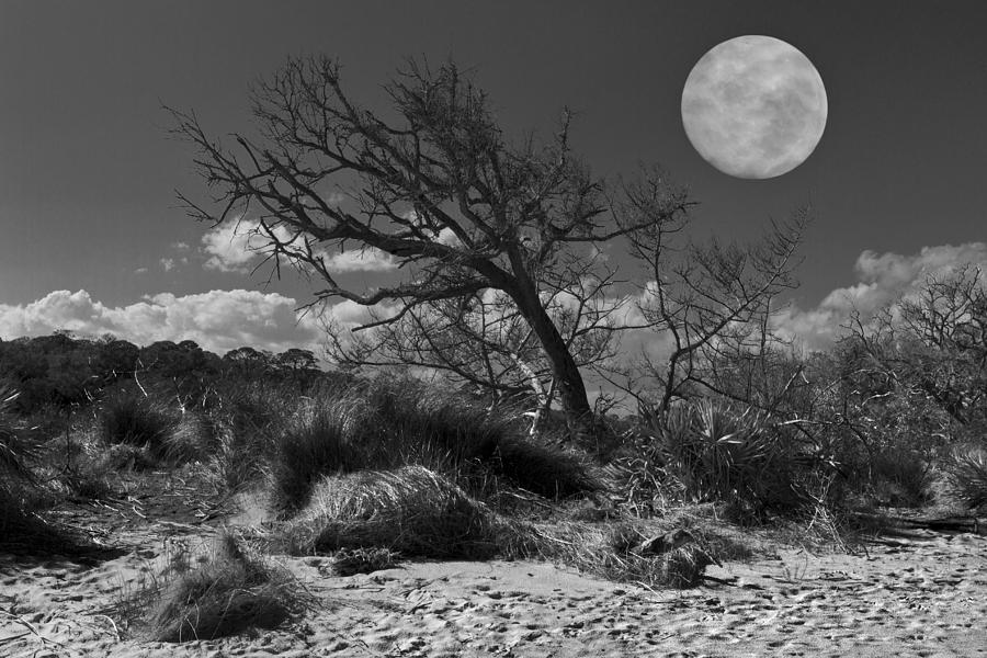 Black And White Photograph - Full Moon over Jekyll by Debra and Dave Vanderlaan