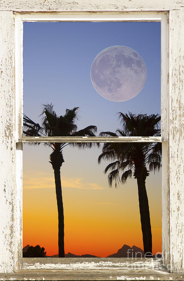 Full Moon Palm Tree Picture Window Sunset Photograph by James BO Insogna