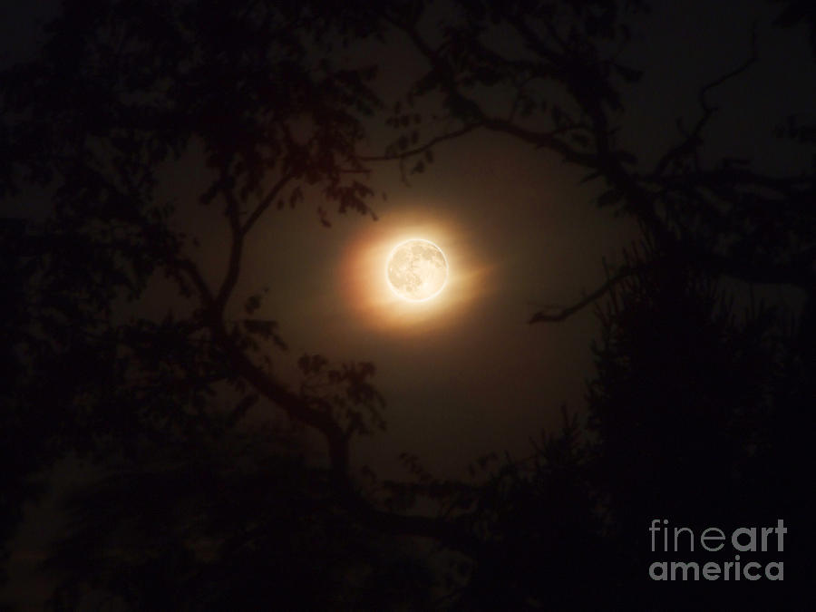Full Moon Photograph Photograph by Kristen Fox