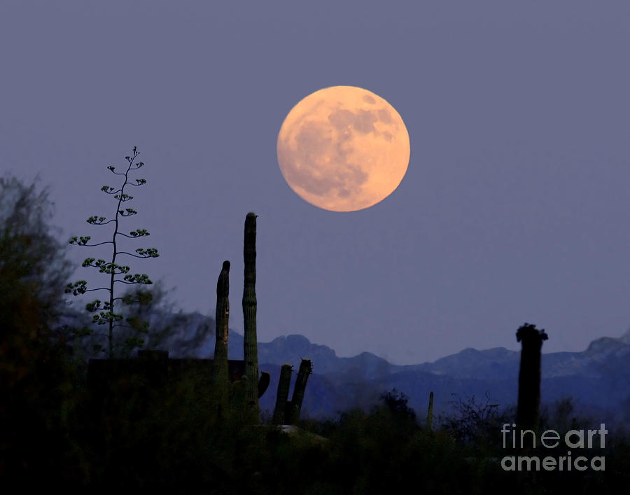 Full Moon Rise Gold Canyon AZ Photograph by Joanne West