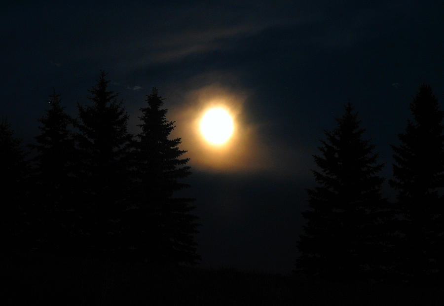 Moon Photograph - Full Moon Rising by Sandra Longstreet