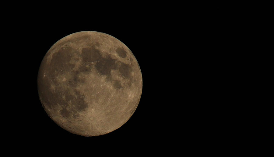Full Moon Tonight Photograph by Ronda Broatch