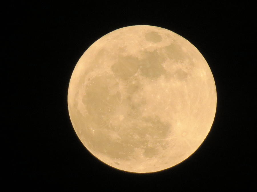 Full Moon Photograph by Vijay Sharon Govender