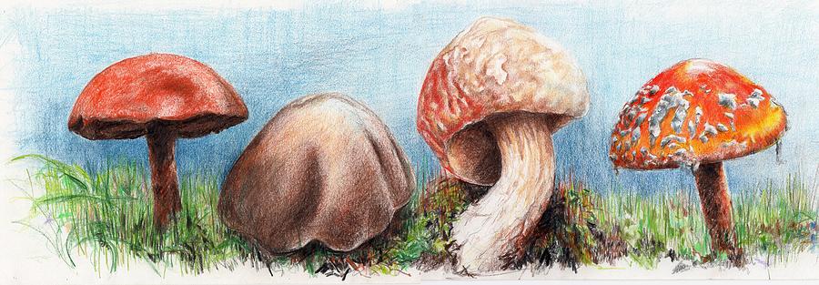 FUNGUS Panorama Drawing by William OBrien