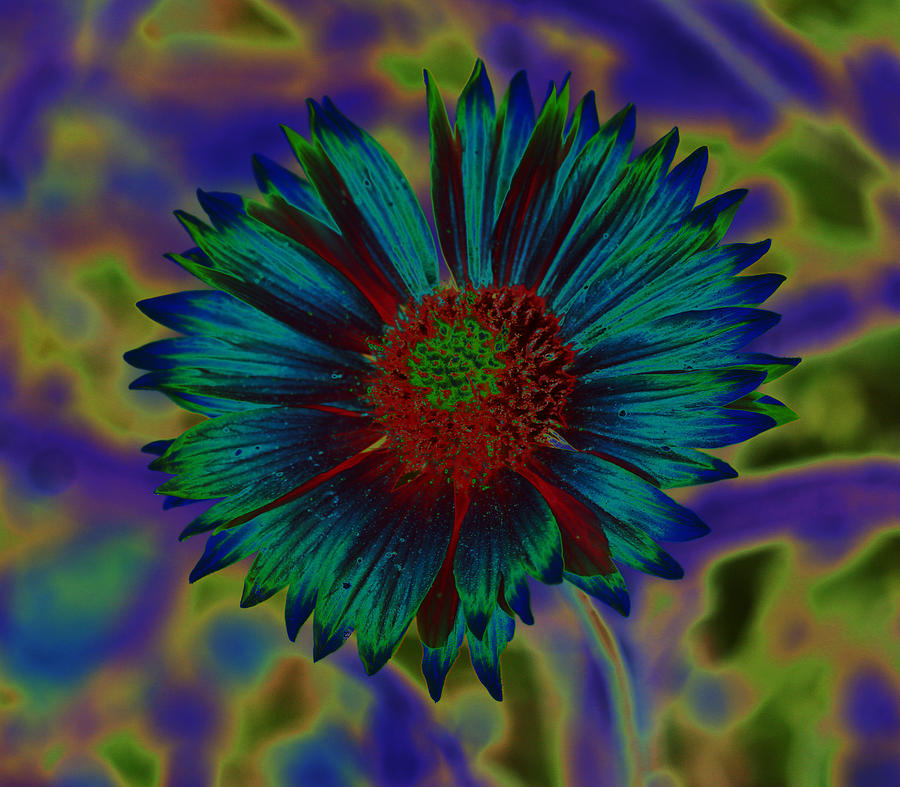 Flowers Still Life Digital Art - Funky Flower by April Wietrecki Green