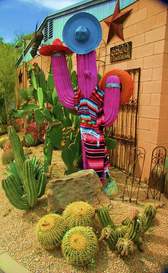 Funky Saguaro Photograph by John Handfield