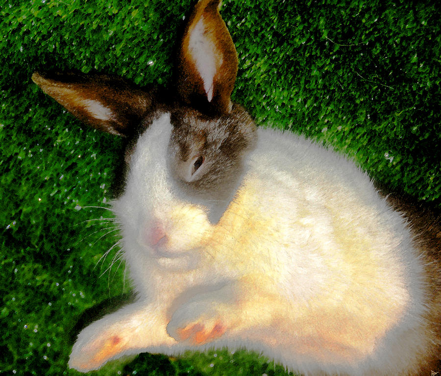 Rabbit Painting - Funny Rabbit by David Lee Thompson