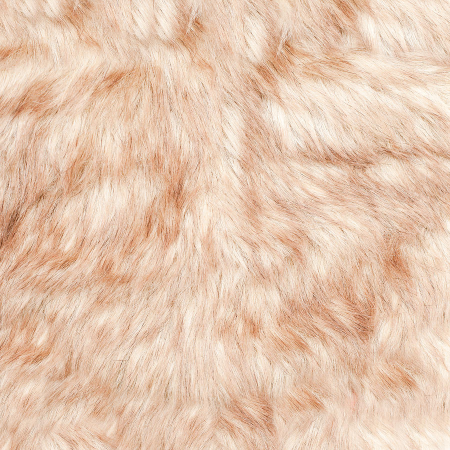 Nature Photograph - Fur background by Tom Gowanlock