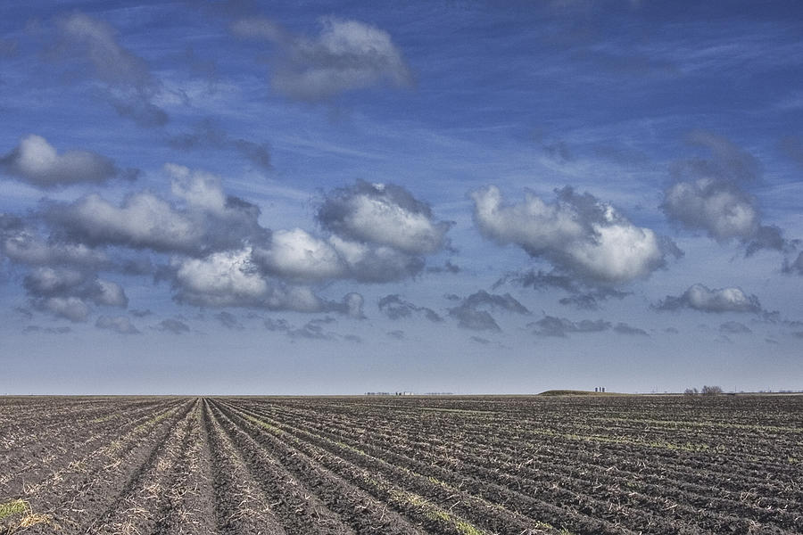 Landscape Photograph - Furrows in a Texas Field by Randall Nyhof