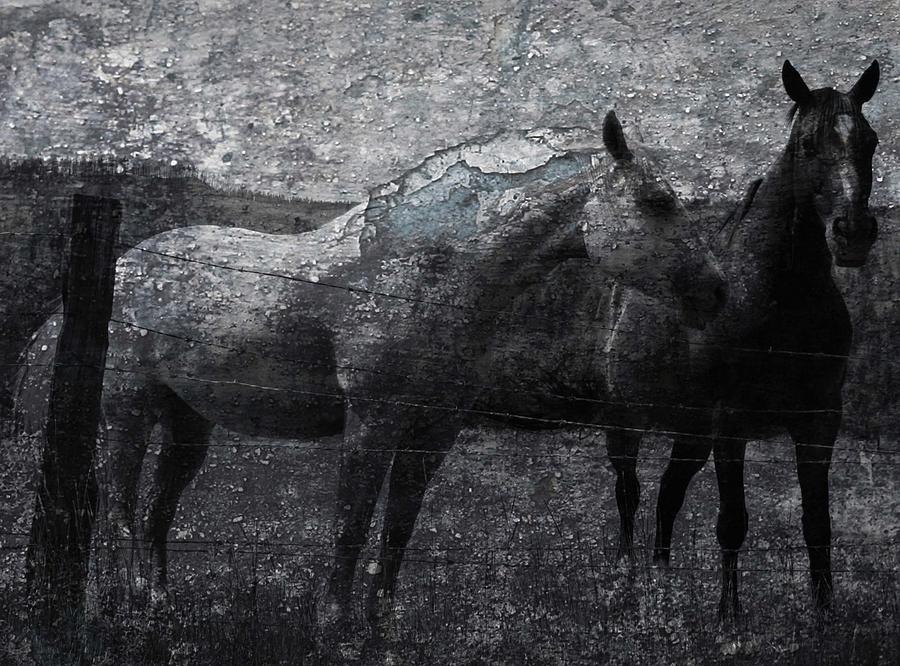 Horse Photograph - Galloping Stones by J C