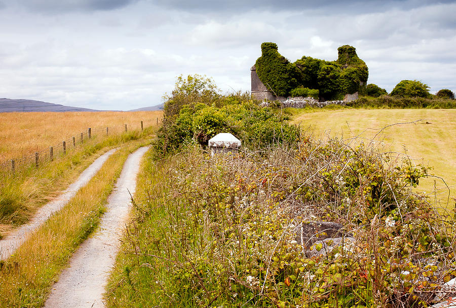 Galway Country Scene Photograph by George Pennock - Fine Art America