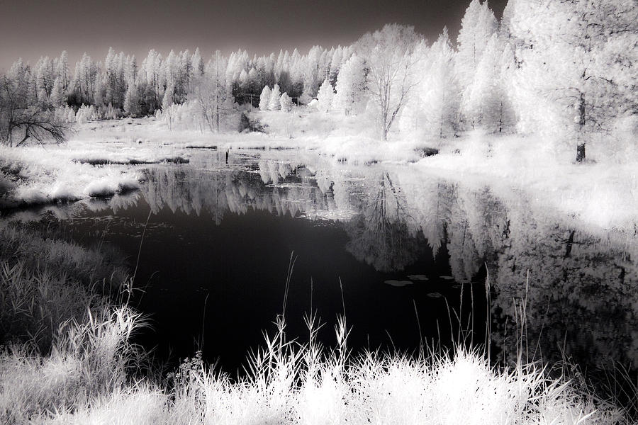 Gamlin Lake in Infrared 2 Photograph by Lee Santa