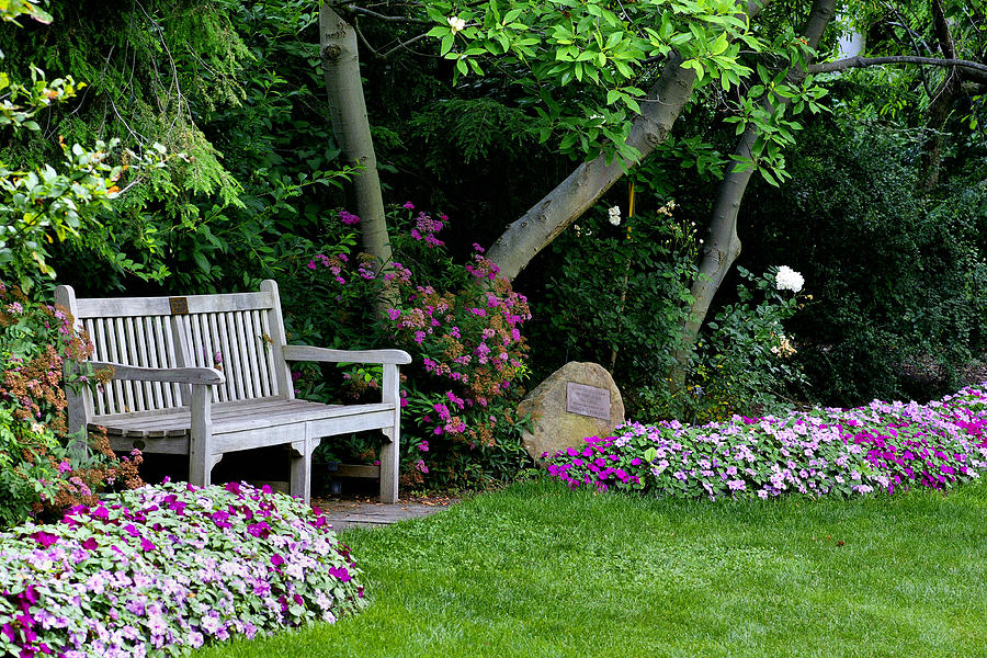 Garden Bench Photograph by Michelle Joseph-Long