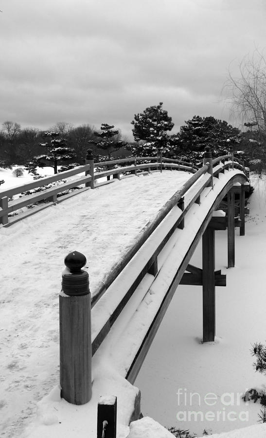 Garden Bridge in winter Photograph by David Bearden