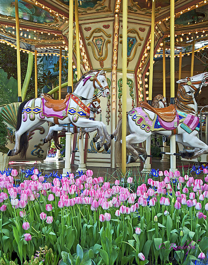 Garden Carousel Photograph by Cheri Randolph