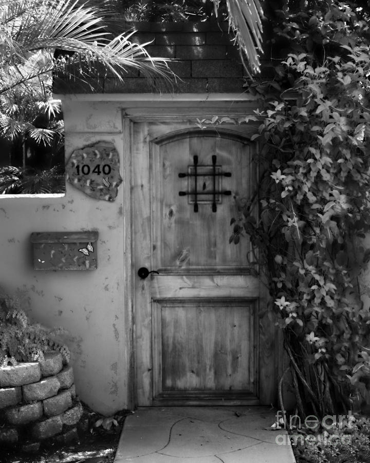 Garden Doorway 2 Photograph by Perry Webster
