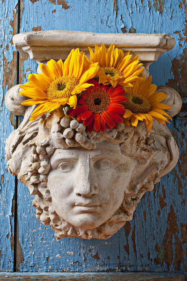 Sunflower Photograph - Garden Face by Garry Gay