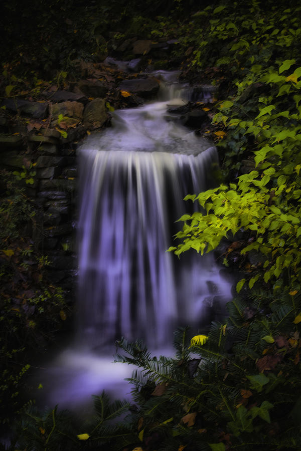 Garden Falls Photograph by Lynne Jenkins