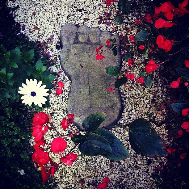Giant Feet Photograph - Garden feet by Dani Pimenta