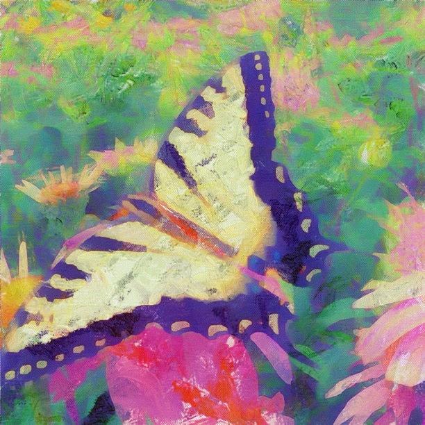 Butterfly Photograph - Garden Flight by Susan Libby