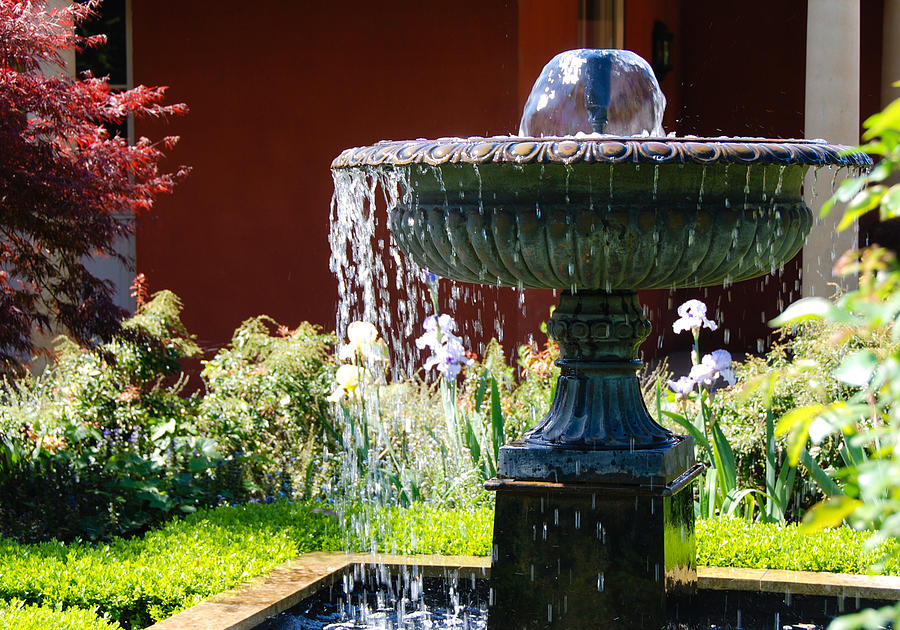 Garden fountain Photograph by Fran Woods