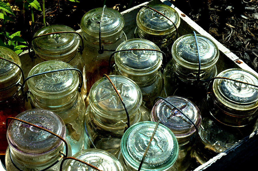 Garden Jars Photograph by Bruce Carpenter