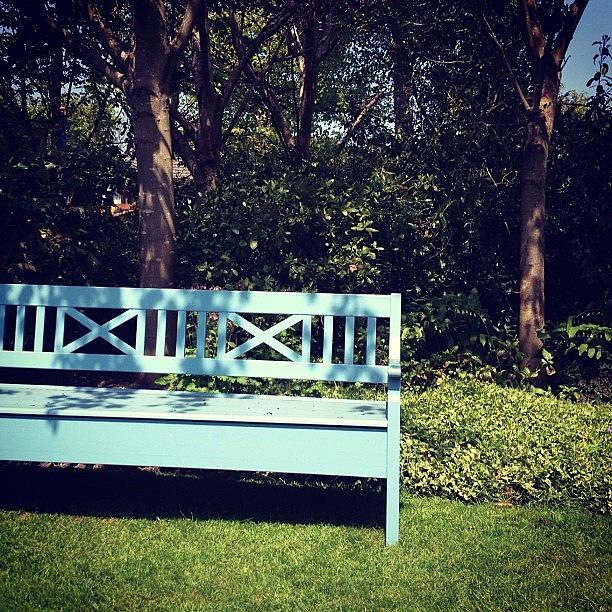 Blue Photograph - #garden #mygarden #blue #bench #painted by Grace Shine