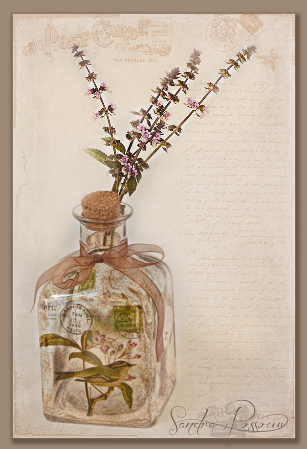 Flower Photograph - Garden Note  by Sandra Rossouw