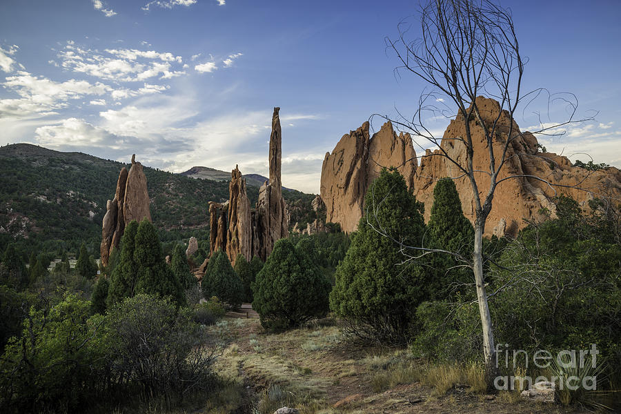 Garden of the Gods Trail Photograph by David Waldrop