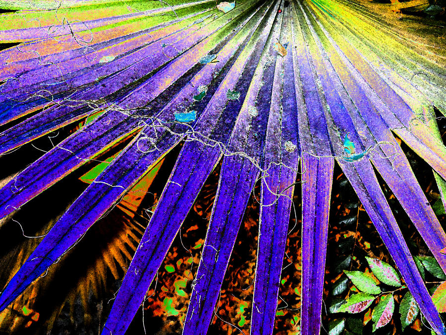 Garden Palm At Night Digital Art
