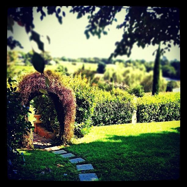 Scenery Photograph - #garden #scenery #hedge #arch by Glen Offereins