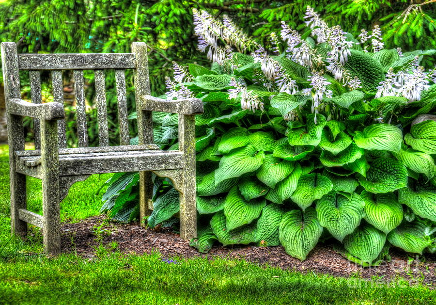 Garden Seat Photograph by Debbi Granruth