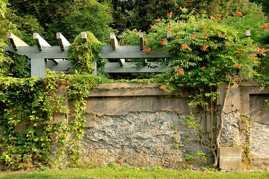 Garden Wall Photograph by Cathy Kovarik