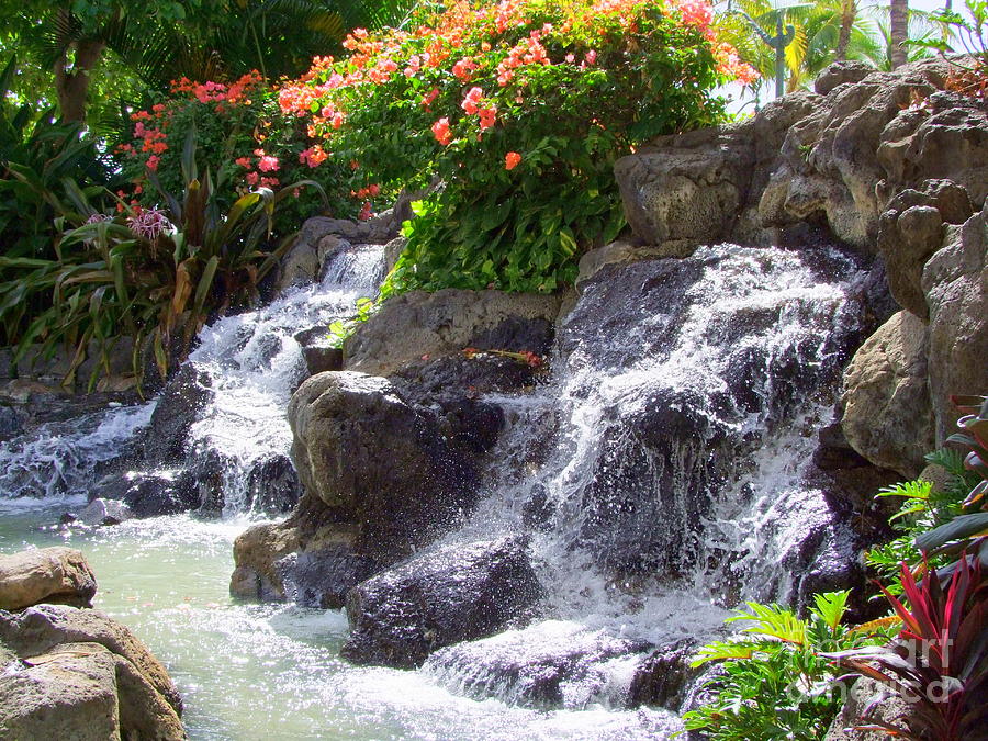 Garden Waterfall - No 2 Photograph by Mary Deal