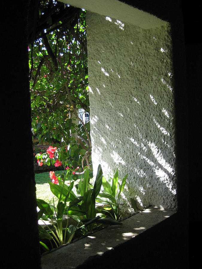 Garden Window Photograph by Sarah Hornsby