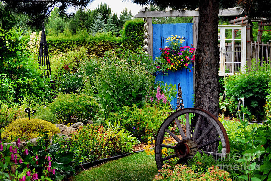 Gardeners Delight Photograph by Andrea Kollo