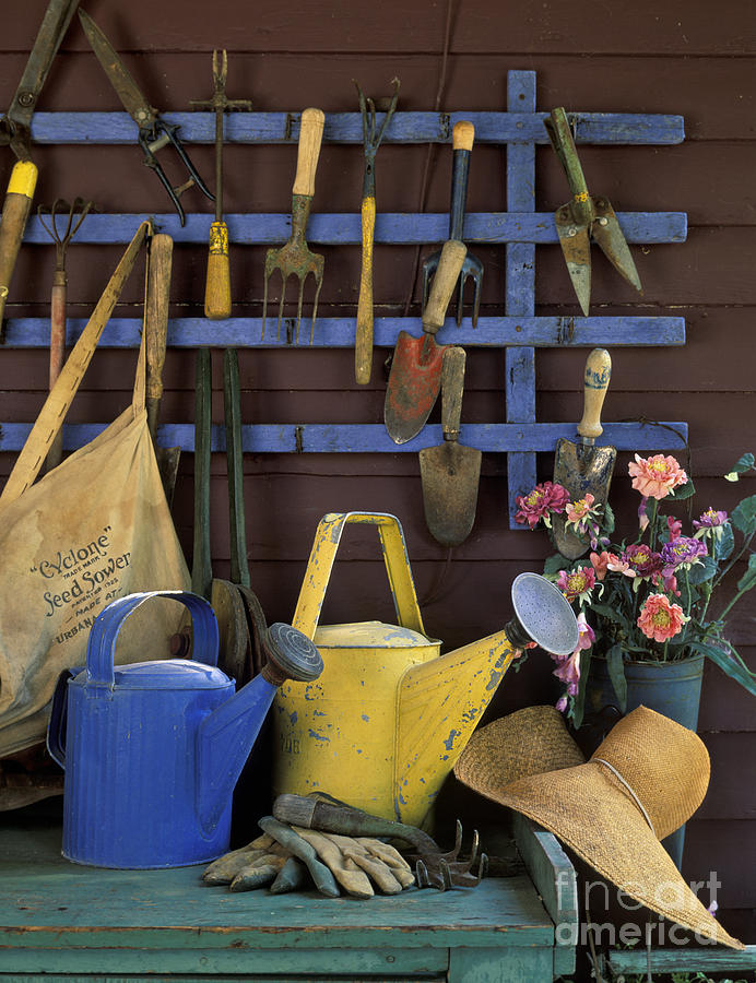 Asparagus Photograph - Gardening Tools - FM000055 #1 by Daniel Dempster