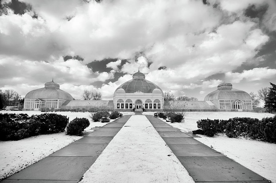 Gardens in the Clouds Photograph by Guy Whiteley