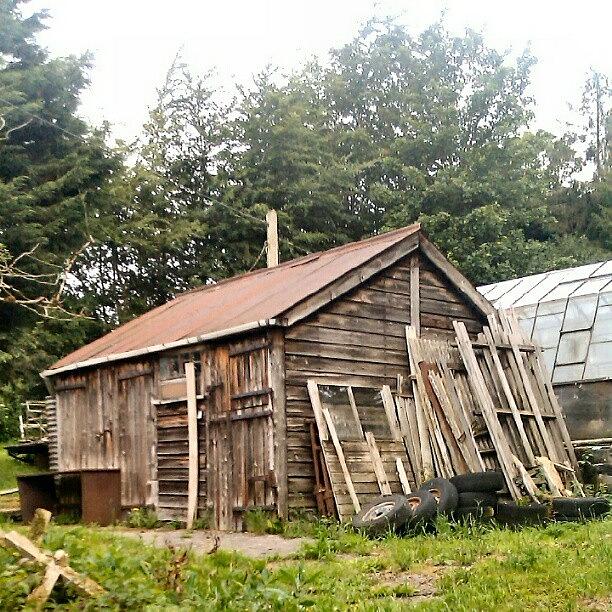 Shed Photograph - #gardenshed #shed #hut #garden #rundown by Kevin Zoller