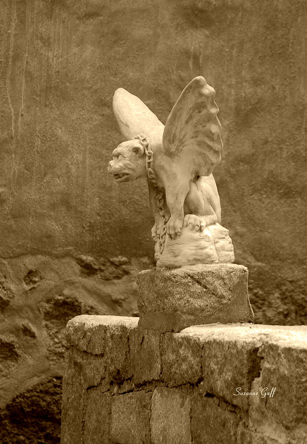 Gargoyle in sepia Photograph by Suzanne Gaff