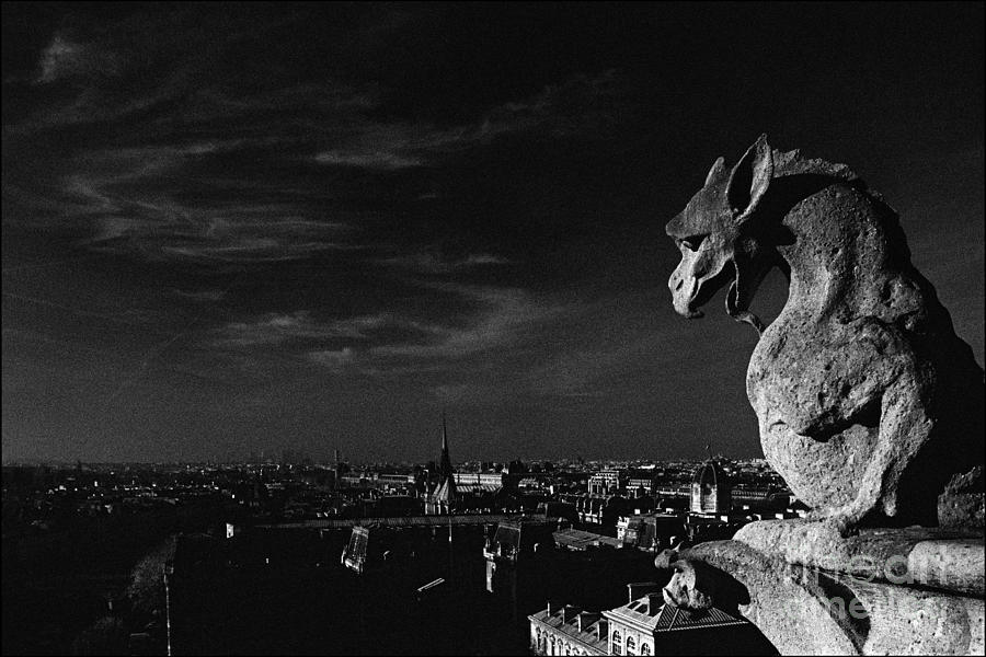 Notre Dame Photograph - Gargoyle of Notre Dame by Aldo Cervato Notre Dame Photograph - Gargoyle of Notre Dame by Aldo Cervato