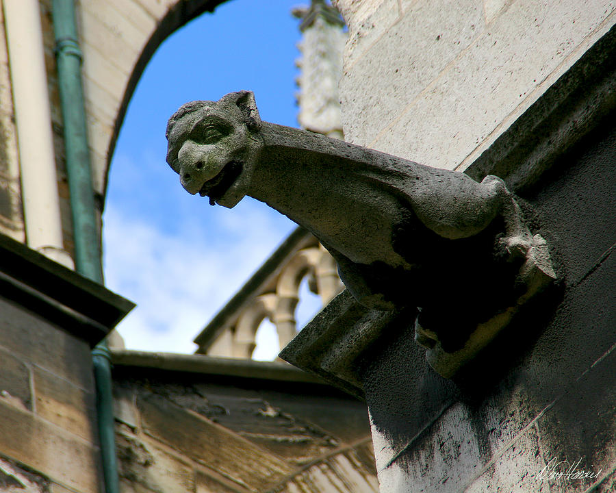 Gargoyle of Saint Denis Photograph by Diana Haronis