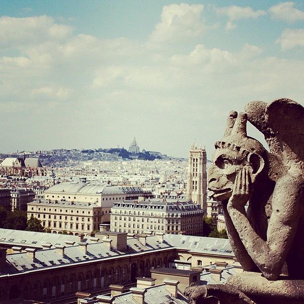 Paris Photograph - #gargoyle View From The Top Of by Jen Hernandez