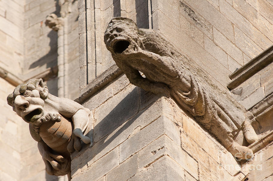 Gargoyles on Ely Cathedral Photograph by Andrew  Michael