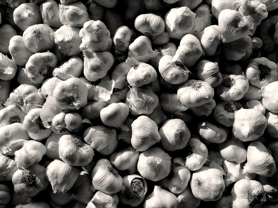 Garlic Garlic Photograph by Jeff Lowe