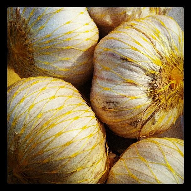 Instagram Photograph - #garlic #instagram #webinstagram by Avatar Pics