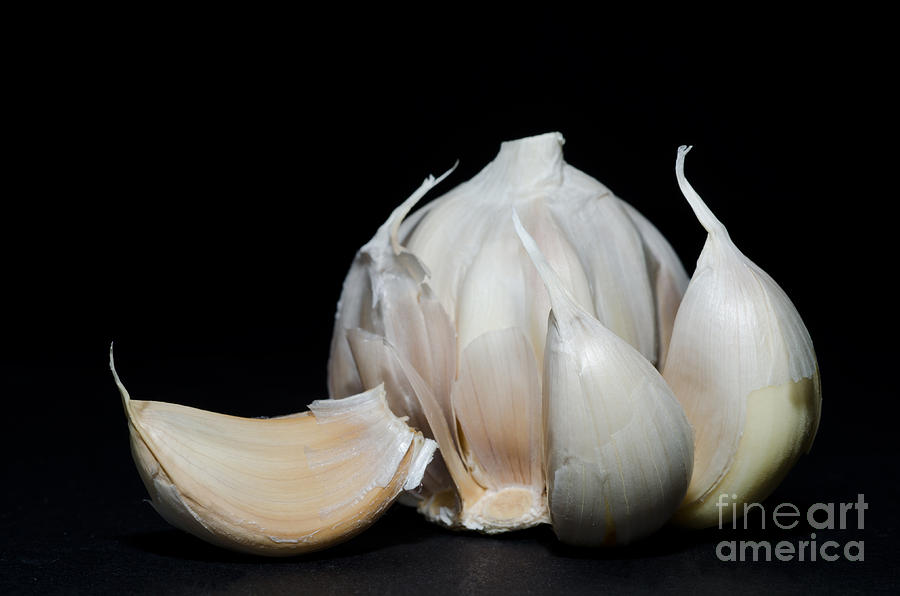 Garlic Photograph by Mats Silvan